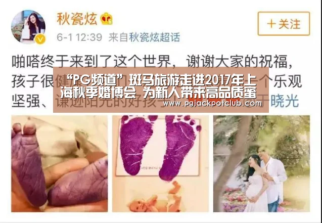 “PG频道”斑马旅游走进2017年上海秋季婚博会 为新人带来高品质蜜月之旅(图2) PG体育