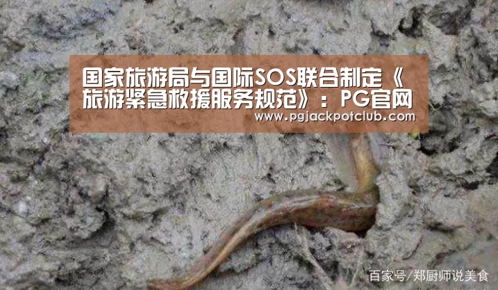 国家旅游局与国际SOS联合制定《旅游紧急救援服务规范》:PG官网(图2) PG频道