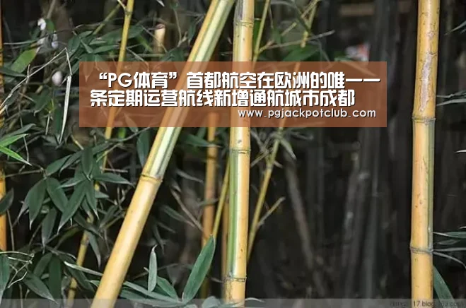PG频道