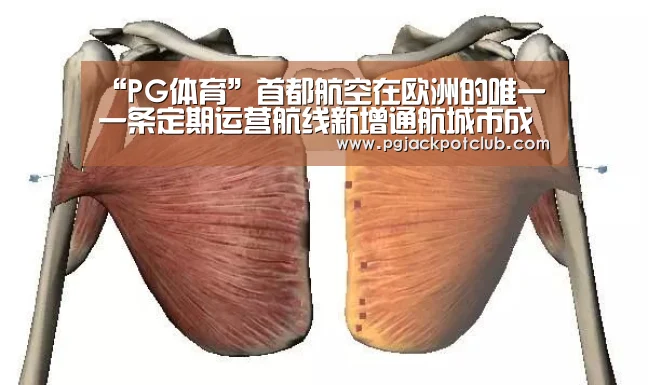 PG服务
