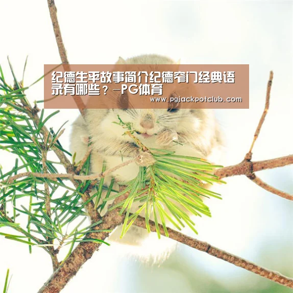 PG官网